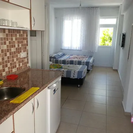 Oezguer Türkeli