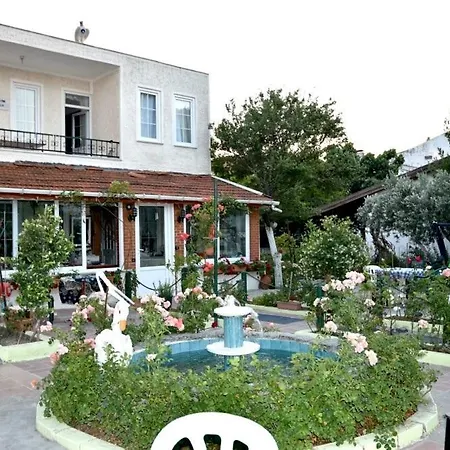 Oezguer Авса-Адаси